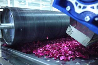 全面革新 探秘嘉华食品“花工厂”技术升级之道