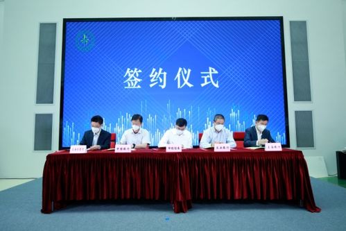 零碳驱动，节能高效 上海发布绿色发展新举措